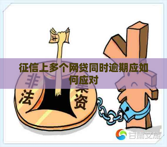 上多个网贷同时逾期应如何应对