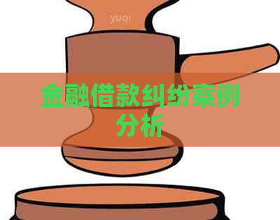 金融借款纠纷案例分析