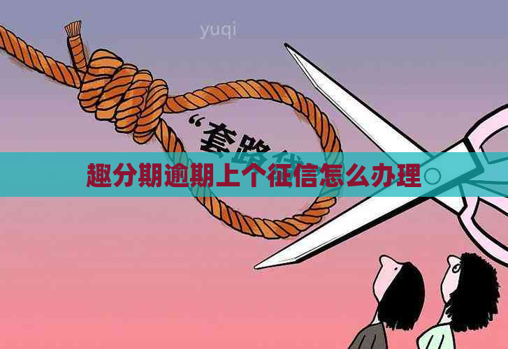 趣分期逾期上个怎么办理