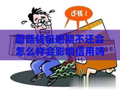 蘑菇钱包逾期不还会怎么样会影响信用吗