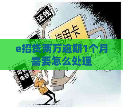 e招贷两万逾期1个月需要怎么处理