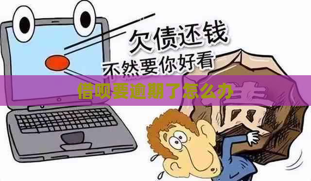 借呗要逾期了怎么办