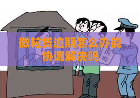 微粒贷逾期怎么办能协调解决吗