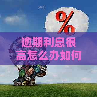 逾期利息很高怎么办如何解决