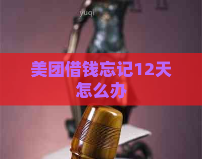 美团借钱忘记12天怎么办