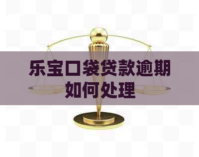 乐宝口袋贷款逾期如何处理