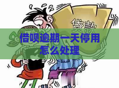 借呗逾期一天停用怎么处理