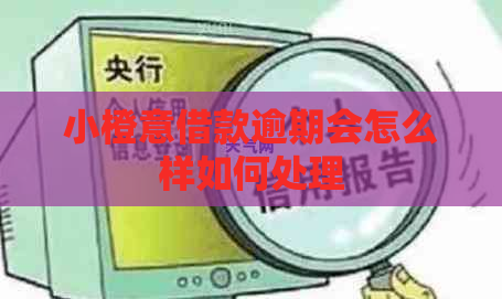 小橙意借款逾期会怎么样如何处理