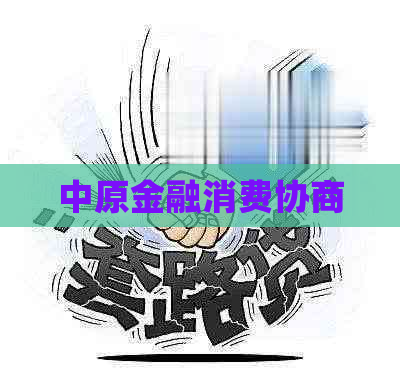 中原金融消费协商