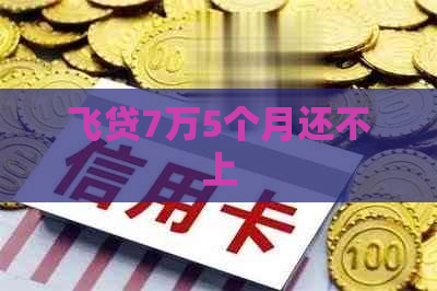 飞贷7万5个月还不上