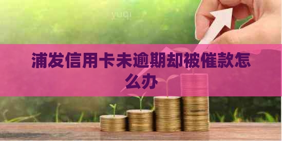 浦发信用卡未逾期却被催款怎么办