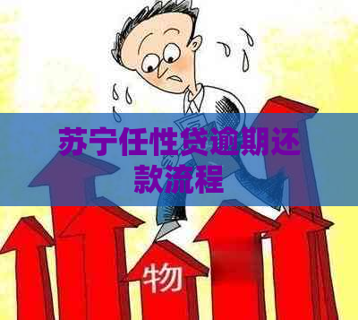 苏宁任性贷逾期还款流程