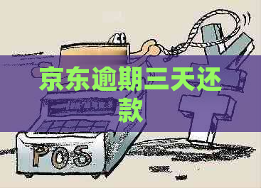 京东逾期三天还款