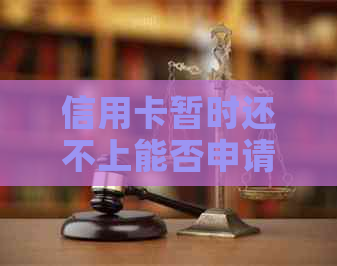 信用卡暂时还不上能否申请分期付款