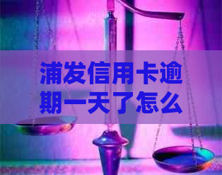 浦发信用卡逾期一天了怎么办