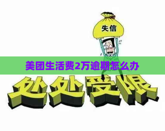 美团生活费2万逾期怎么办