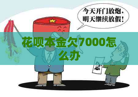 花呗本金欠7000怎么办