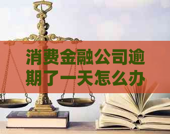 消费金融公司逾期了一天怎么办