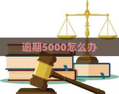 逾期5000怎么办