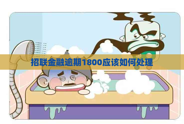 招联金融逾期1800应该如何处理