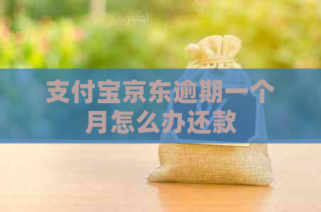 支付宝京东逾期一个月怎么办还款