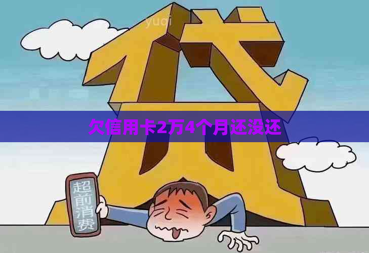 欠信用卡2万4个月还没还