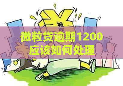 微粒贷逾期1200应该如何处理