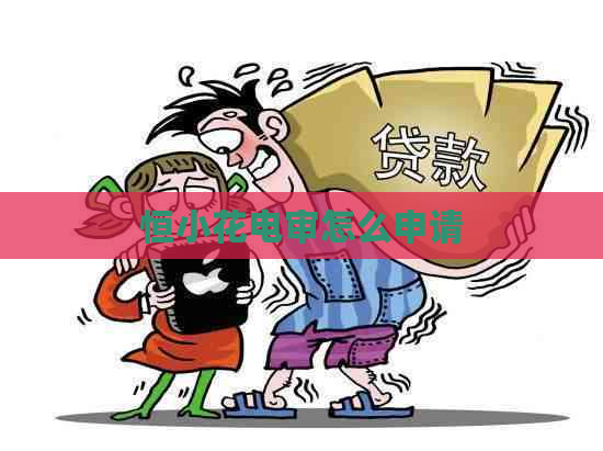 恒小花电审怎么申请