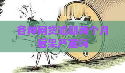 各种网贷逾期两个月后果严重吗