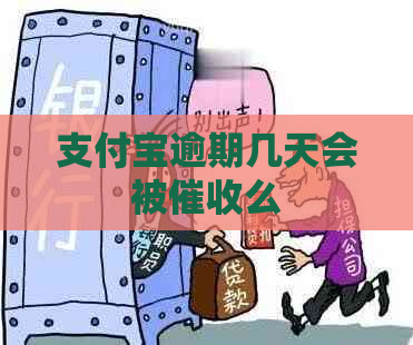 支付宝逾期几天会被么