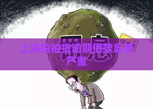 上海逾期借款后果严重