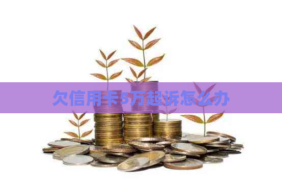 欠信用卡5万起诉怎么办