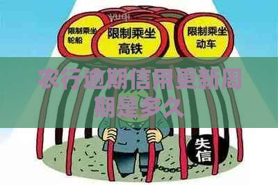 农行逾期信用更新周期是多久