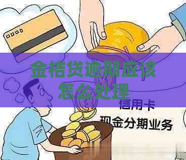 金桔贷逾期应该怎么处理