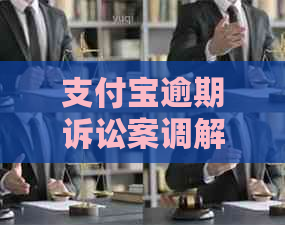 支付宝逾期诉讼案调解平台有哪些