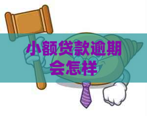 小额贷款逾期会怎样