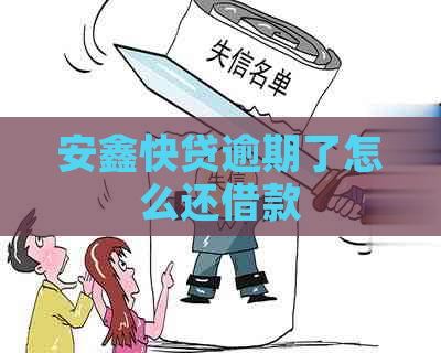 安鑫快贷逾期了怎么还借款