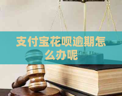 支付宝花呗逾期怎么办呢