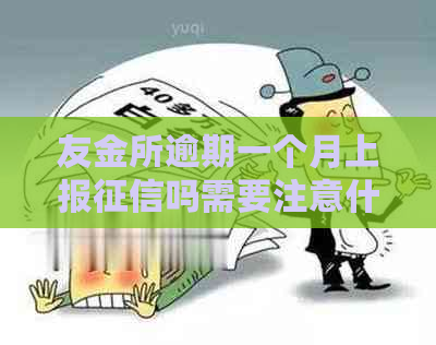 友金所逾期一个月上报吗需要注意什么