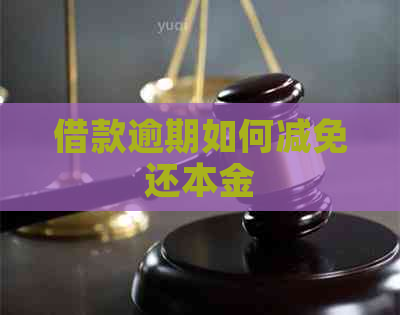 借款逾期如何减免还本金