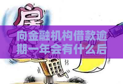 向金融机构借款逾期一年会有什么后果