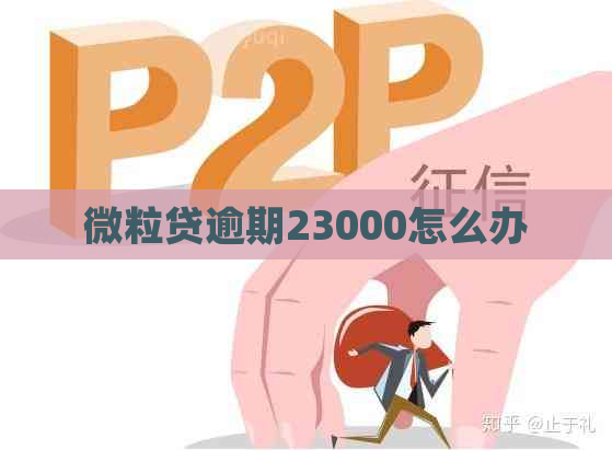 微粒贷逾期23000怎么办