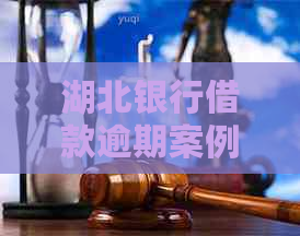 湖北银行借款逾期案例分析与应对措施