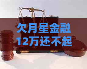 欠月星金融12万还不起了