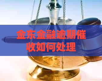 金东金融逾期如何处理