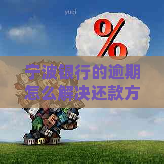 宁波银行的逾期怎么解决还款方法有哪些