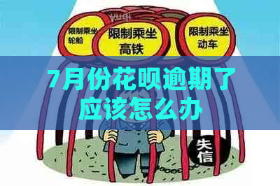 7月份花呗逾期了应该怎么办