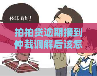 逾期接到仲裁调解后该怎么办