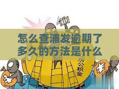 怎么查浦发逾期了多久的方法是什么