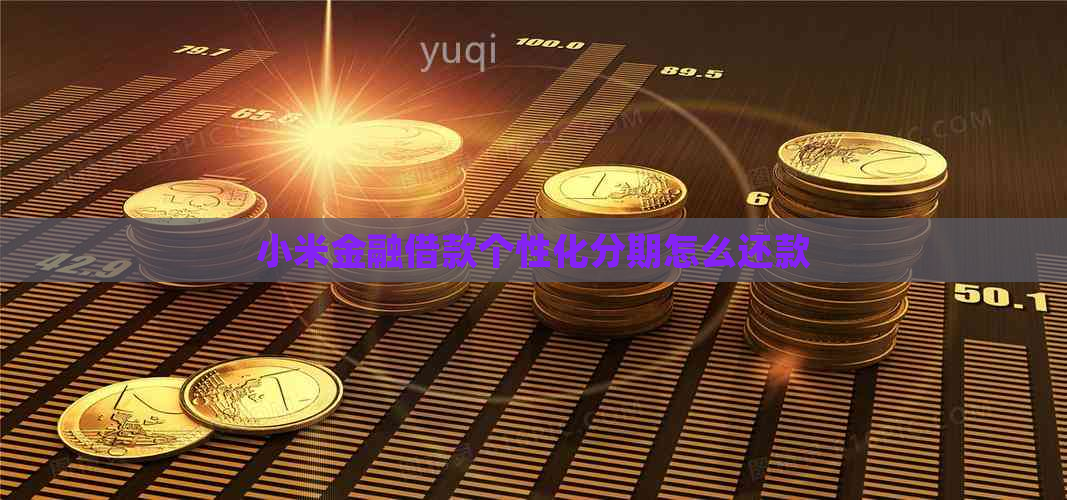 小米金融借款个性化分期怎么还款